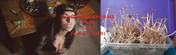 молекула духа Алексеевка