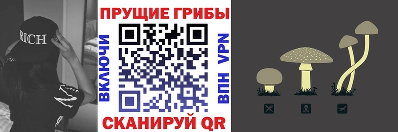 Галлюциногенные грибы мухоморы  где купить наркоту  Россошь 
